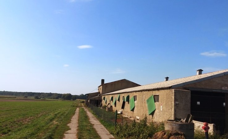 dom na sprzedaż - Miejska Górka (gw), Zakrzewo